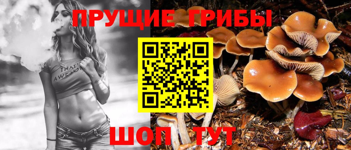 Галлюциногенные грибы ЛСД  Вход с VPN  Дербент 