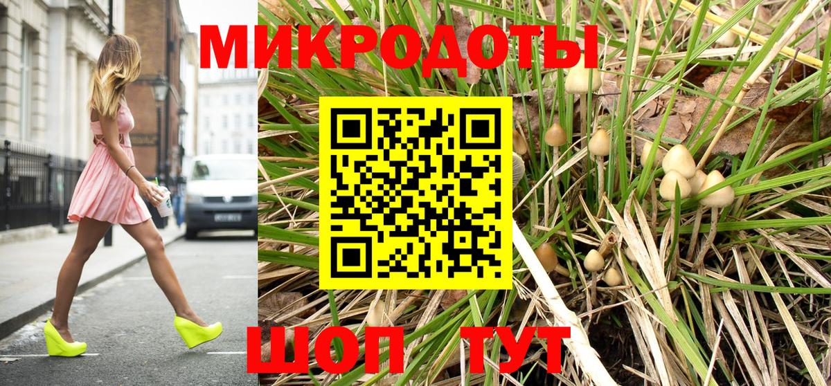 Галлюциногенные грибы мухоморы Дербент